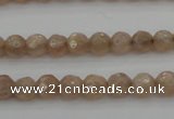 CMS940 15.5 inches 4mm faceted round A grade moonstone gemstone beads