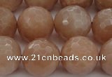 CMS945 15.5 inches 14mm faceted round A grade moonstone gemstone beads