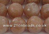 CMS945 15.5 inches 14mm faceted round A grade moonstone gemstone beads