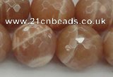 CMS947 15.5 inches 18mm faceted round A grade moonstone gemstone beads