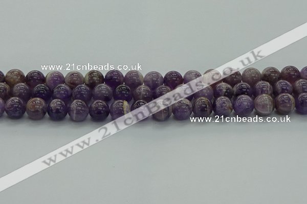 CNA1003 15.5 inches 10mm round dogtooth amethyst beads wholesale