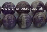 CNA1005 15.5 inches 14mm round dogtooth amethyst beads wholesale