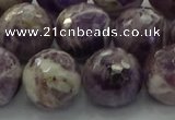 CNA1015 15.5 inches 14mm faceted round dogtooth amethyst beads