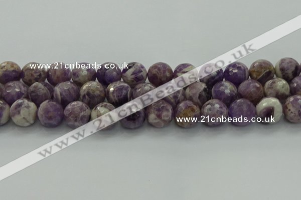 CNA1015 15.5 inches 14mm faceted round dogtooth amethyst beads