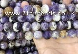 CNA1091 15.5 inches 14mm faceted round dogtooth amethyst beads