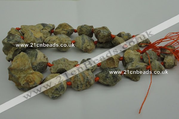 CNG1045 15.5 inches 15*20mm - 25*35mm nuggets inkstone fossil beads