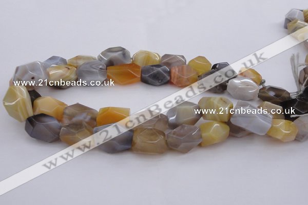 CNG1061 15.5 inches 12*16mm - 15*20mm faceted nuggets Botswana agate beads