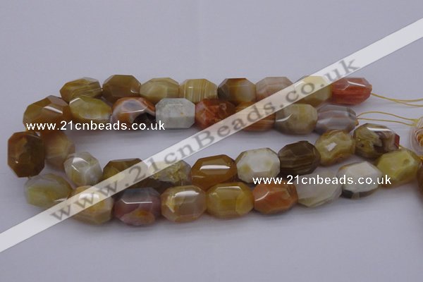 CNG1070 15.5 inches 13*18mm - 16*22mm faceted nuggets Botswana agate beads