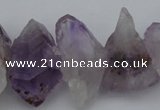 CNG1074 15.5 inches 20*30mm - 22*30mm nuggets lavender amethyst beads