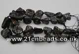 CNG1096 15.5 inches 18*25mm - 25*35mm nuggets ammonite fossil beads