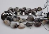 CNG1097 15.5 inches 18*25mm - 25*35mm nuggets botswana agate beads