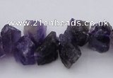 CNG1121 15.5 inches 8*12mm - 13*18mm nuggets amethyst beads