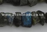 CNG1140 15.5 inches 8*12mm - 13*18mm nuggets labradorite beads