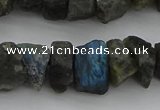 CNG1140 15.5 inches 8*12mm - 13*18mm nuggets labradorite beads