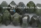 CNG1152 15.5 inches 10*14mm - 15*20mm faceted nuggets labradorite beads