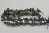 CNG1159 15.5 inches 8*12mm - 13*18mm nuggets labradorite beads