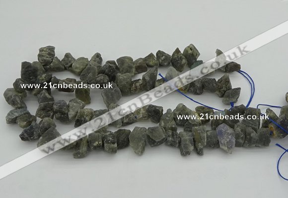 CNG1159 15.5 inches 8*12mm - 13*18mm nuggets labradorite beads