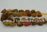 CNG1168 15.5 inches 15*25mm - 25*30mm nuggets agate beads