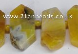 CNG1392 15.5 inches 15*25mm - 20*40mm wand agate gemstone beads