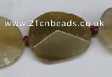 CNG1408 15.5 inches 20*25mm - 30*35mm faceted freeform agate beads