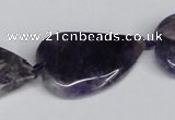 CNG1425 15.5 inches 22*30mm - 25*35mm freeform amethyst beads