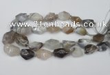 CNG1712 15.5 inches 15*20mm - 20*30mm nuggets botswana agate beads