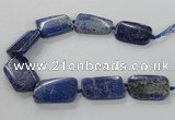 CNG2428 15.5 inches 25*35mm - 30*40mm freeform lapis lazuli beads