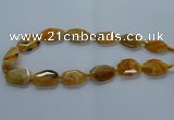 CNG2635 15.5 inches 18*28mm - 20*30mm freeform agate beads