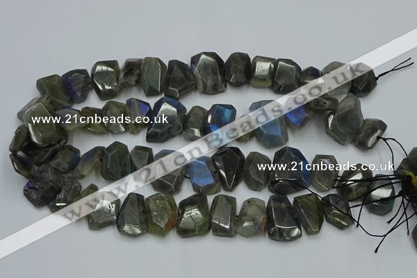 CNG2825 15.5 inches 13*18mm - 15*20mm freeform labradorite beads