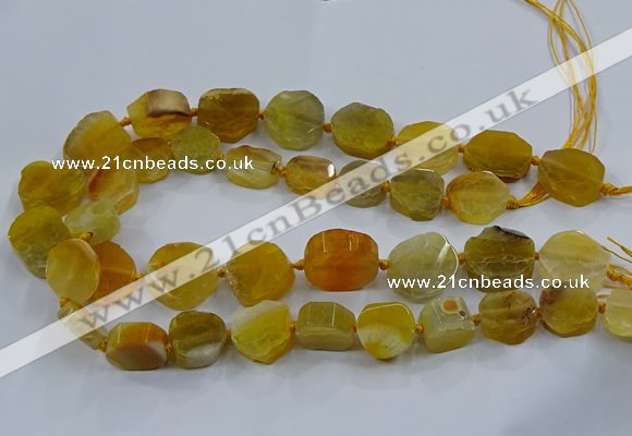 CNG2907 15.5 inches 12*16mm - 15*25mm freeform agate beads