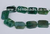 CNG3084 15.5 inches 30*40mm - 35*45mm freeform agate beads