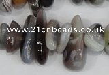 CNG316 15.5 inches 3*6mm - 5*22mm nuggets botswana agate beads