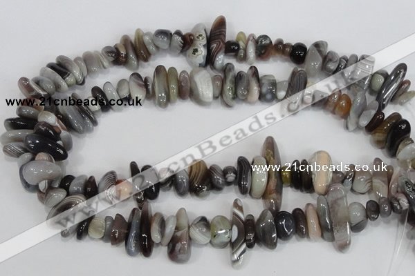 CNG316 15.5 inches 3*6mm - 5*22mm nuggets botswana agate beads