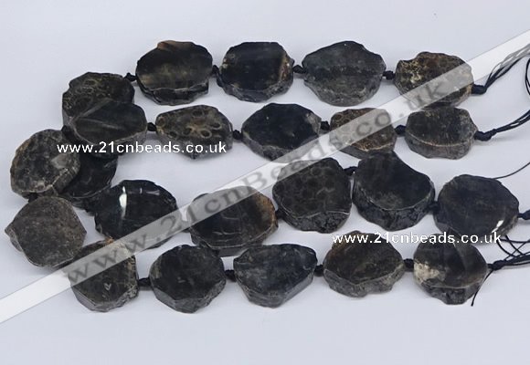 CNG3488 30*35mm - 35*45mm freeform chrysanthemum agate beads