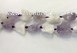 CNG3573 18*20mm - 25*30mm nuggets rough white crystal & amethyst beads