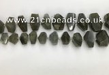 CNG3590 10*16mm - 15*30mm faceted nuggets labradorite beads