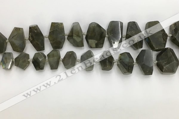 CNG3590 10*16mm - 15*30mm faceted nuggets labradorite beads