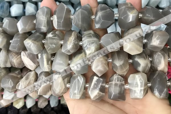 CNG3605 15.5 inches 13*20mm - 15*24mm faceted nuggets moonstone beads