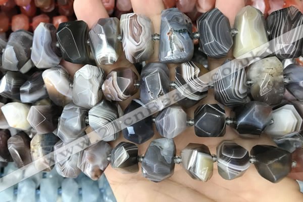 CNG3614 13*20mm - 15*24mm faceted nuggets Botswana agate beads