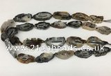 CNG3643 15.5 inches 22*30mm - 30*40mm freeform druzy agate beads