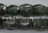 CNG5007 15.5 inches 10*14mm - 13*18mm faceted nuggets labradorite beads