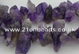 CNG5030 15.5 inches 4*8mm - 6*15mm nuggets amethyst beads