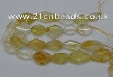 CNG5079 15.5 inches 20*30mm - 35*45mm freeform citrine beads