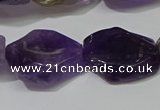 CNG5104 15.5 inches 14*20mm - 18*25mm freeform amethyst beads