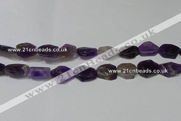 CNG5104 15.5 inches 14*20mm - 18*25mm freeform amethyst beads