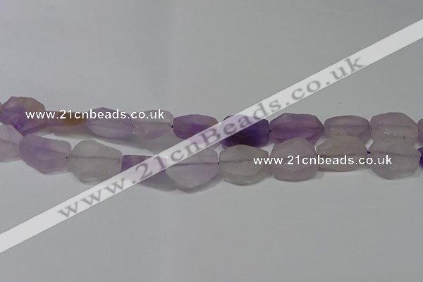 CNG5117 15.5 inches 14*20mm - 18*25mm freeform matte amethyst beads