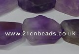 CNG5118 15.5 inches 14*20mm - 18*25mm freeform matte amethyst beads