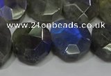 CNG5144 15.5 inches 15*18mm - 15*20mm faceted freeform labradorite beads