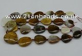 CNG5158 15.5 inches 16*22mm - 30*35mm freeform Mexican agate beads