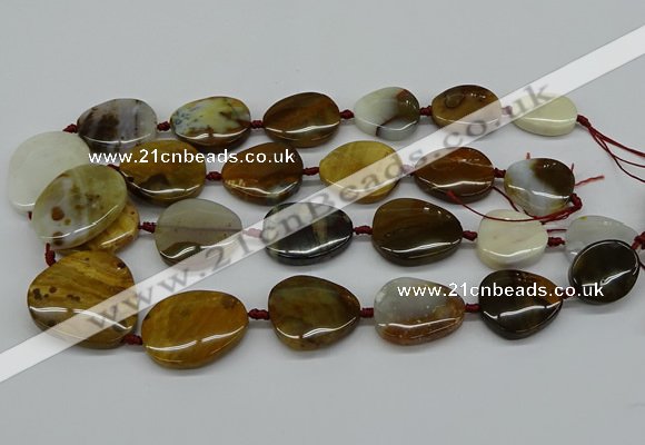 CNG5158 15.5 inches 16*22mm - 30*35mm freeform Mexican agate beads